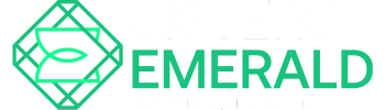 formacaosisters.com.br